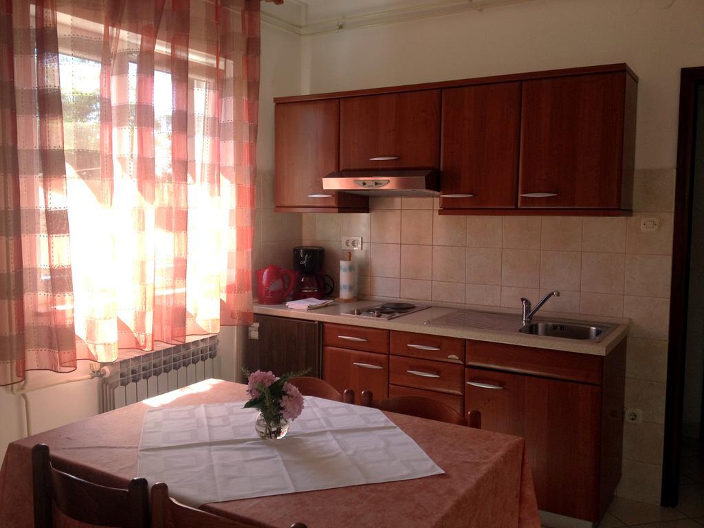 Apartments Villa Ban 로비니 객실 사진