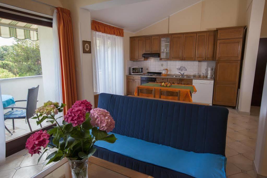 Apartments Villa Ban 로비니 외부 사진